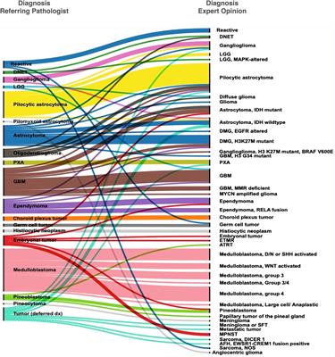 Pediatric neuropathology practice in a low- and middle-income country: capacity building through institutional twinning